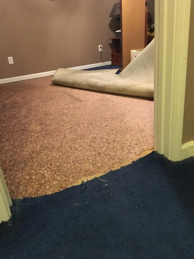 Carpet pad removal revealing water damage during Drying & Dehumidification in Waterbury