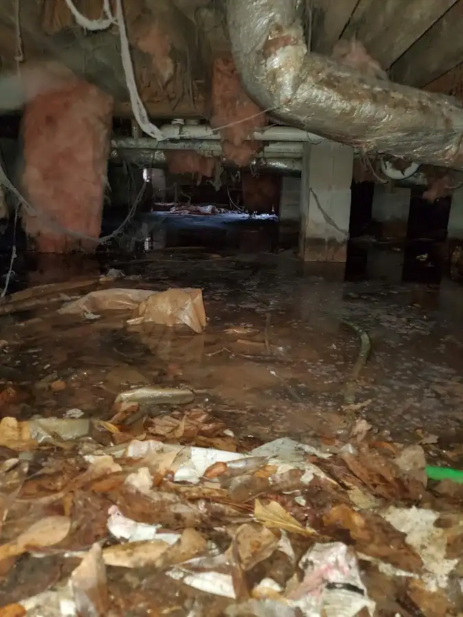 Crawl space flood assessment for Leak Detection & Repair in Waterbury