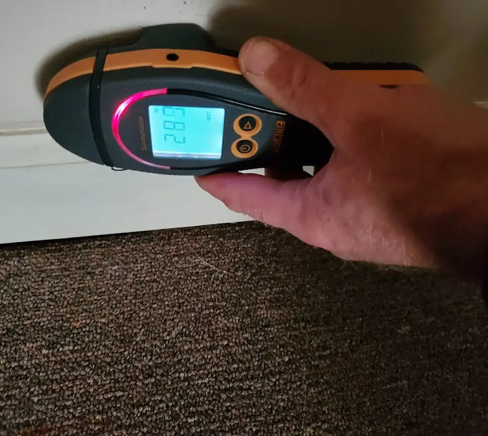 Moisture detection at baseboard during Sewage Cleanup & Sanitation in Waterbury